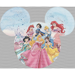 Princess-PR 2014